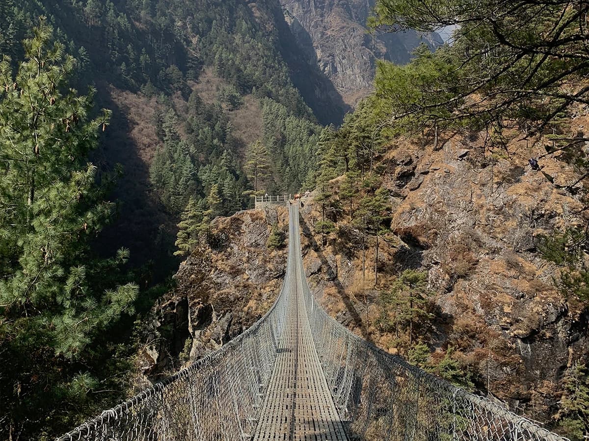 Bridge